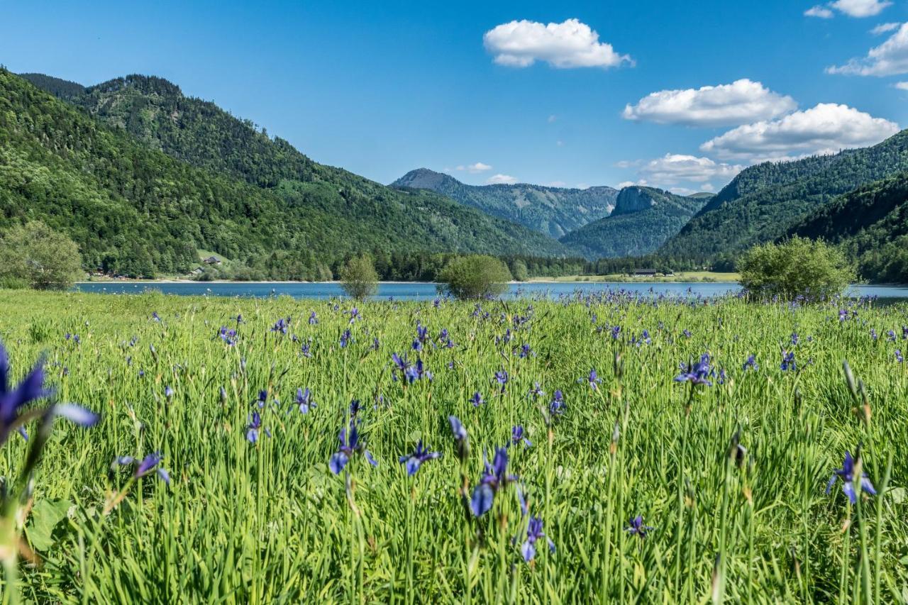 Hotel Fischerwirt Natur Waldspa Файстенау Екстериор снимка