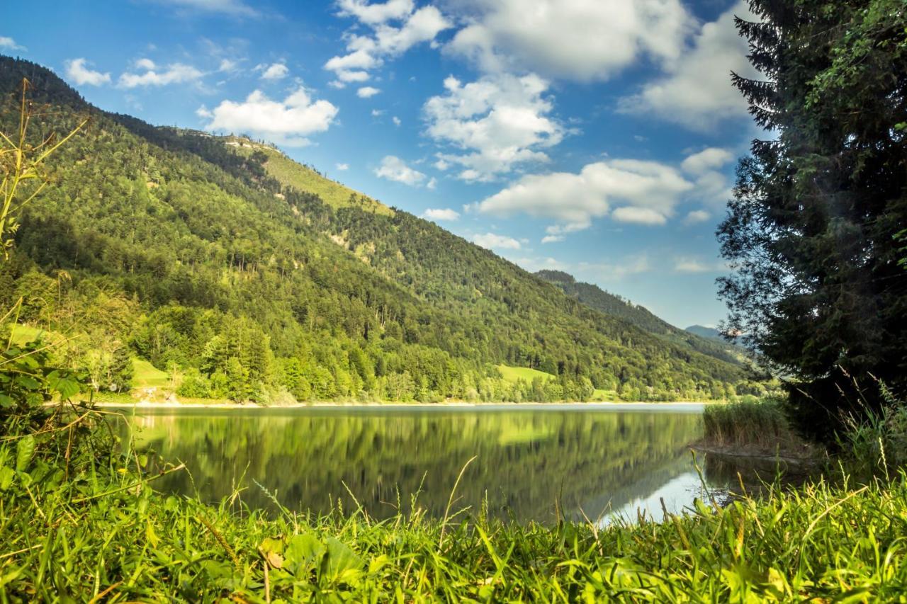 Hotel Fischerwirt Natur Waldspa Файстенау Екстериор снимка